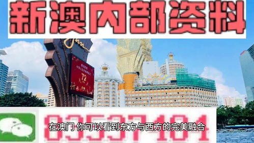 王中王心水高手论坛免费资料公开|定性分析解释落实_实况款.3.528