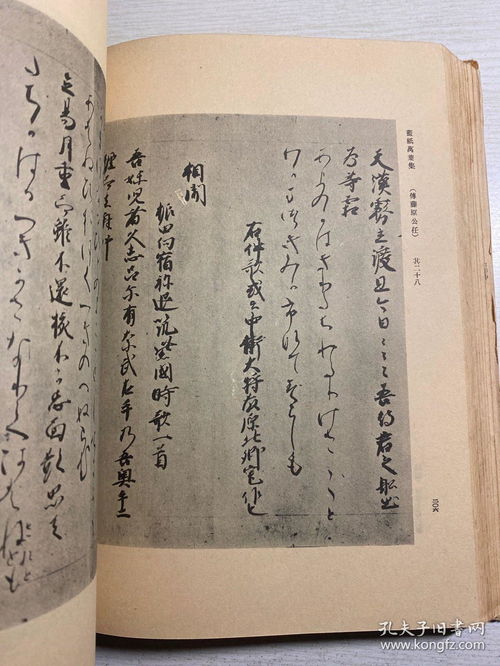白小姐今晚特马期期准2024|解析时代背景下的资料解读_冒险版WSAP.8.387