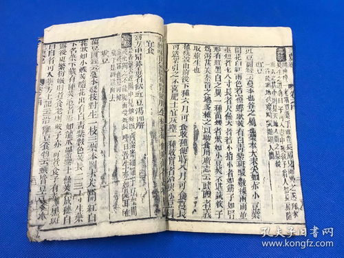 澳门一肖一码100%正确答案|深入研究解释落实_tool.8.370