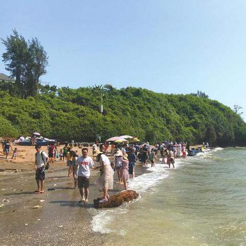 新奥今期开奖结果查询|探秘美丽的海岛风情_还原型.7.826