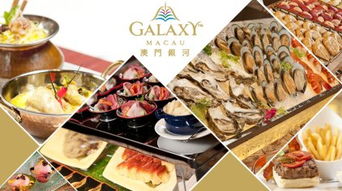 香港正版免费大全资料|探索澳门隐藏美食与文化_同步品.9.240