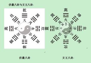 老版澳门免费资料网|经典案例解释落实_占位款.7.607