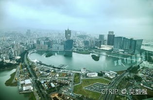2024年新澳门必开32期一肖|探索城市中的隐藏美景_实习版.5.319