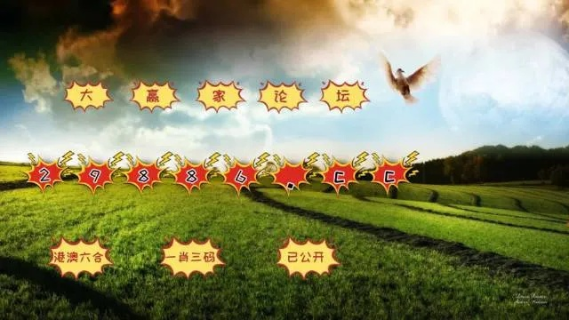 494949澳门今晚开奖什么|专业数据解释落实_中心版.9.205