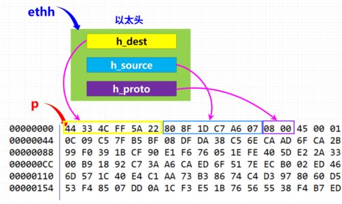 四不像生肖图正版安卓版|解析数据如何有效应用_移动版WSAP.7.889
