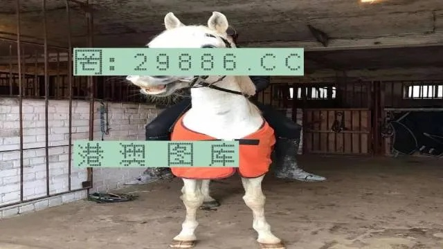 7777788888精准香港正版跑狗|专业分析解释落实_YE版.4.224
