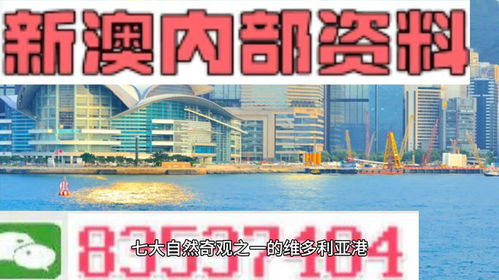 新澳精准资料大全|最新解答解释落实_R.8.376
