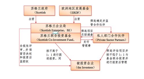 新奥彩最新资料查询|理论解答解释落实_连续集.7.555