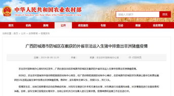 广西的狼精英主论坛12366|未来解答解释落实_专用集.8.628
